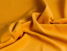 Cristy Yellow